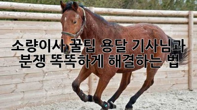 소량이사 꿀팁🍯: 용달 기사님과 분쟁? 똑똑하게 해결하는 법!
