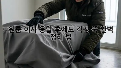 원룸 이사, 용달 후에도 걱정 뚝! 완벽 정리 팁